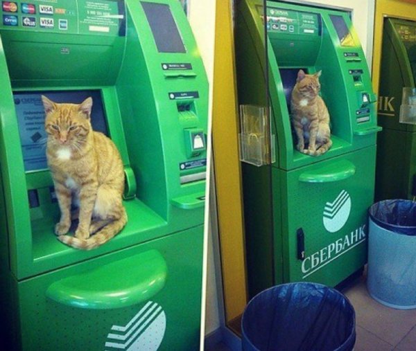 Прикольные банкоматы