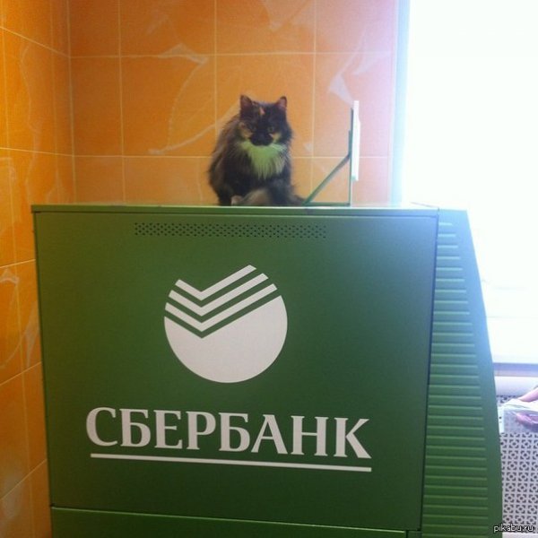 Шутки про Сбербанк