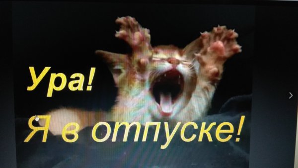 Ура у меня отпуск