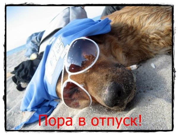 Скоро отпуск прикольные