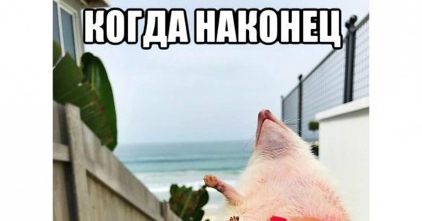 Наконец то отпуск прикольные