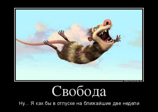 Я В отпуске прикольные