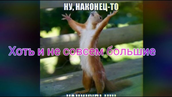 Наконец то каникулы