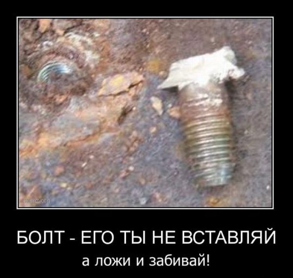 Болт демотиваторы
