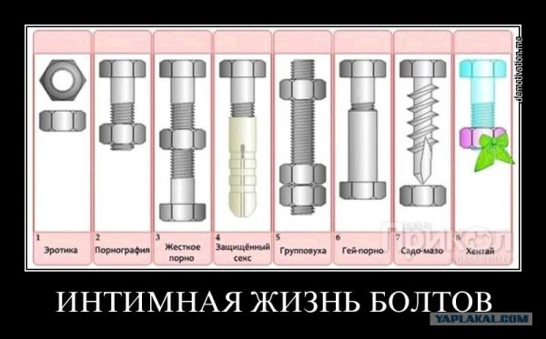 Шутки про болт