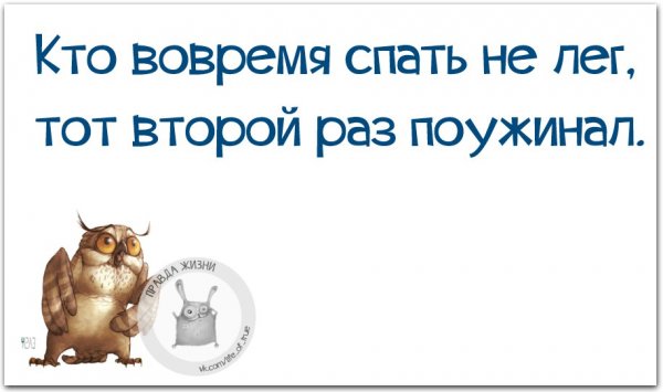Юмор в картинках надо спать
