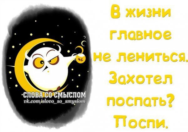 Спать спокойной ночи смешные