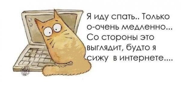 Цитаты про чай смешные