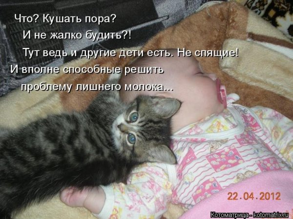 Приколы коты и дети с надписями