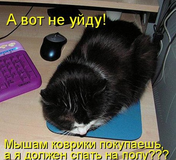 Пока прикол