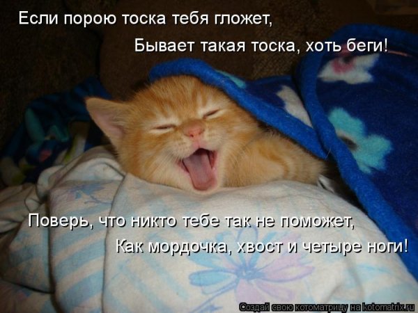 Шутки про храпящих