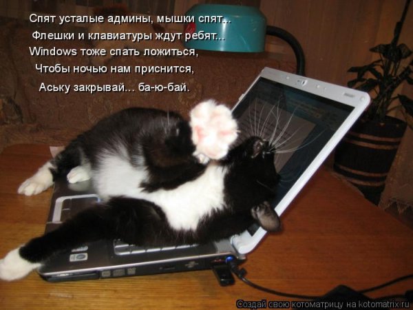 Устал спокойной ночи