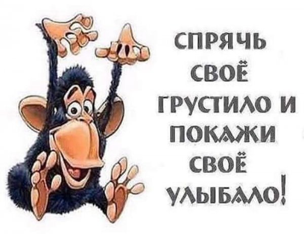 Не грусти прикол