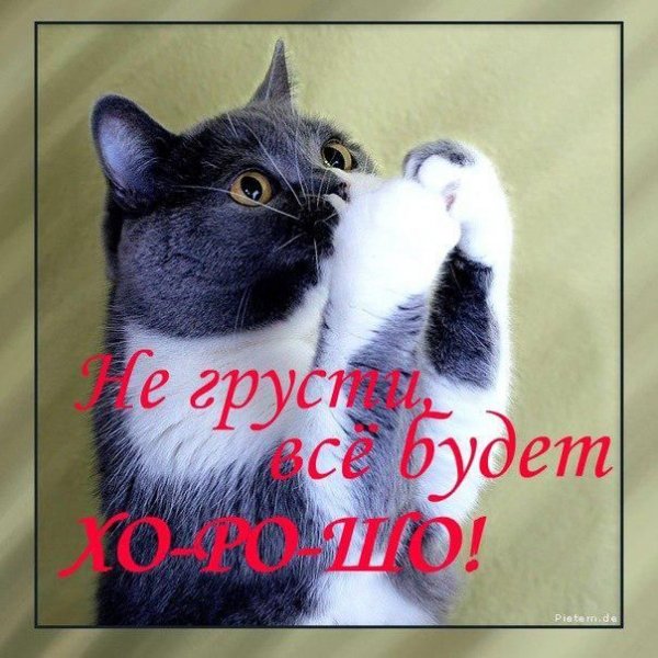 Не грусти
