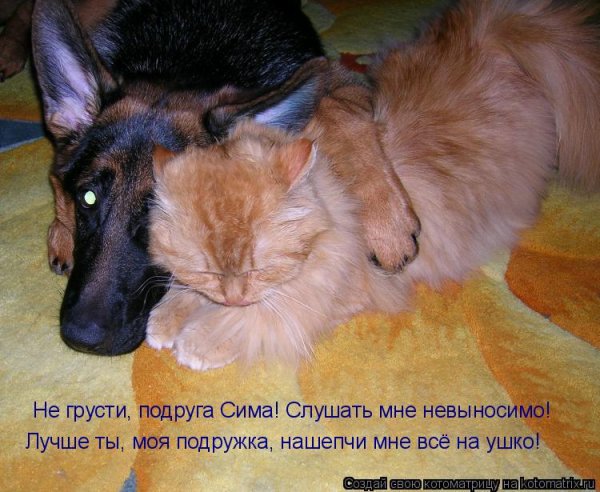 Не грусти подруга