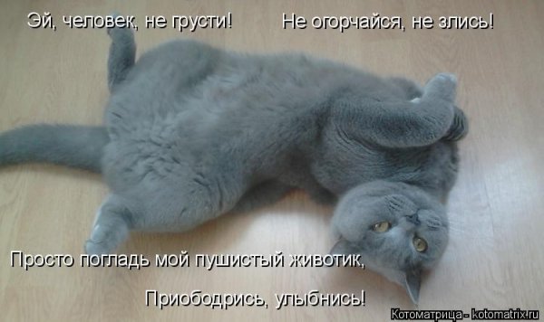 Не огорчайся