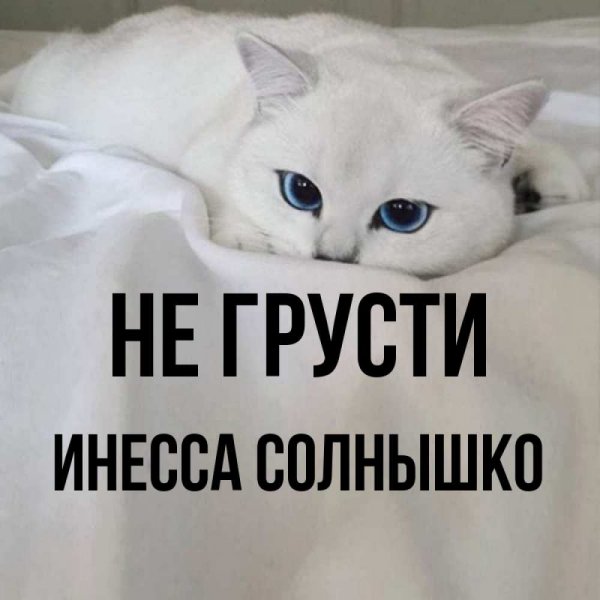 Не грусти солнышко