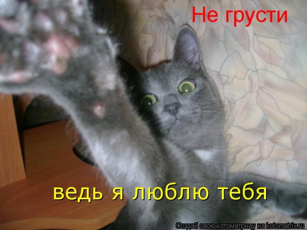 Не грусти я тебя люблю