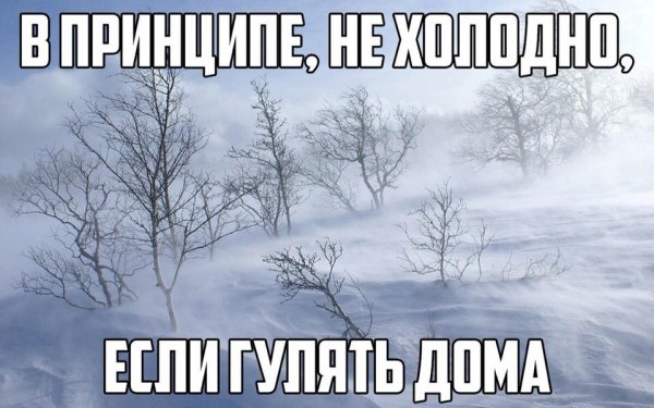 Холодно прикол