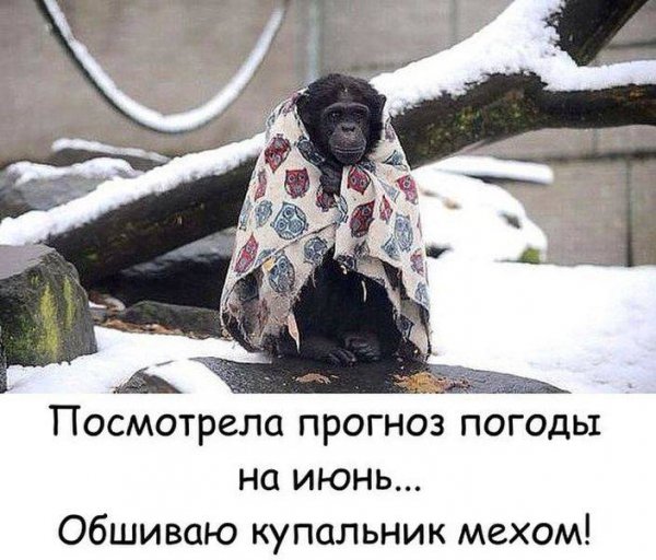 Приколы про холод на улице