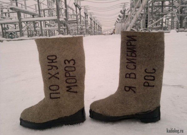 Валенки прикольные