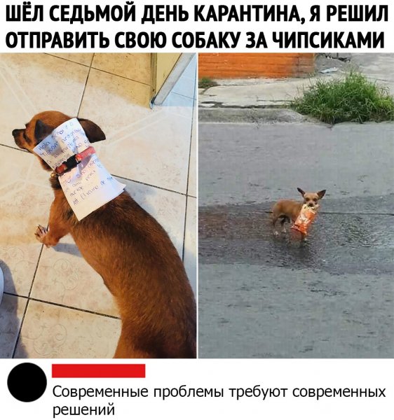 Смешные картинки