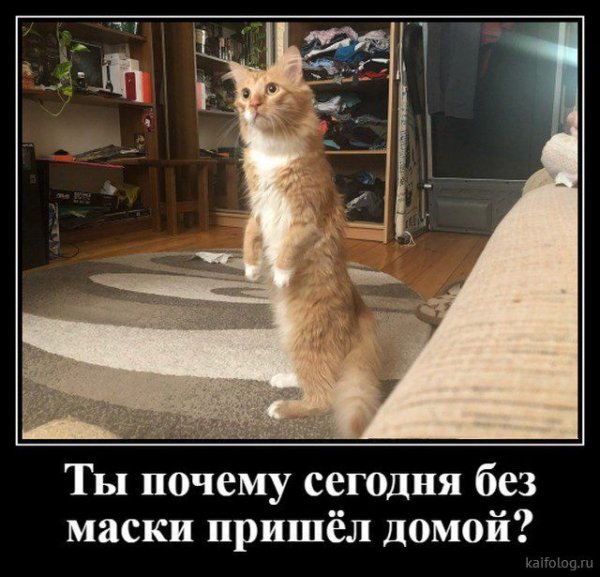 Карантин демотиватор