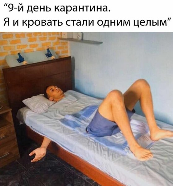 Прикольные картинки после