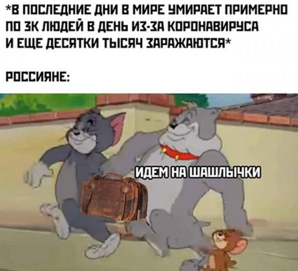 Смешные шутки про карантин