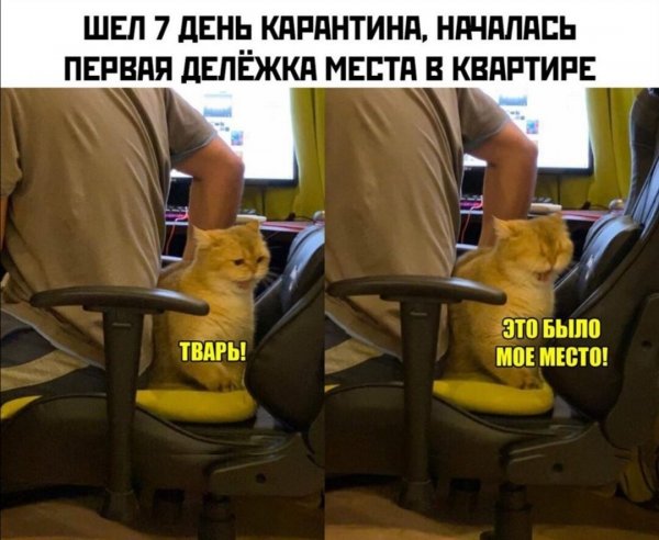 Смешные мемы про карантин