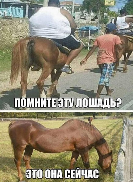 Ломакин Андрей Валентинович