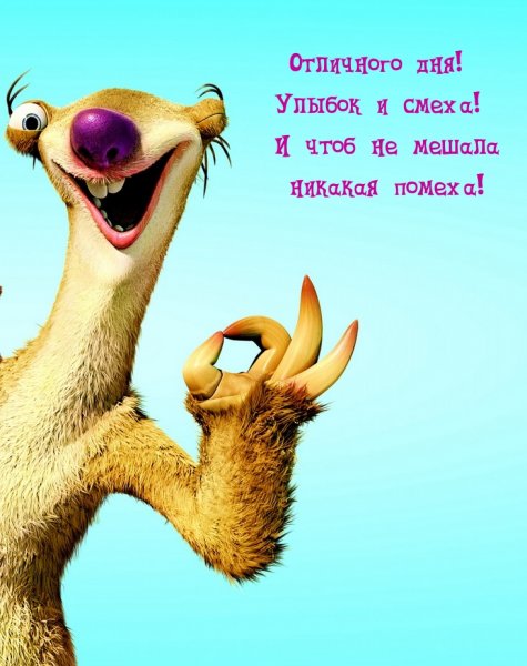 Селфи животных
