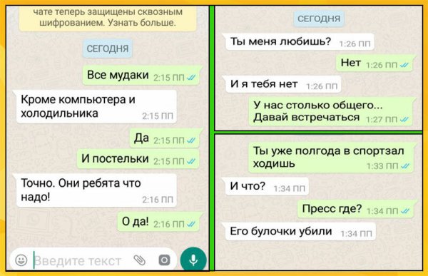Шутки для ватсапа