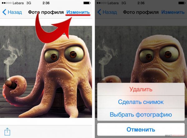 Смешные переписки в ватсапе