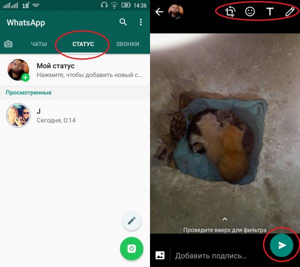 Смешные смс
