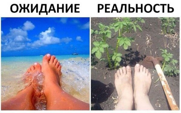 Лето ожидание реальность