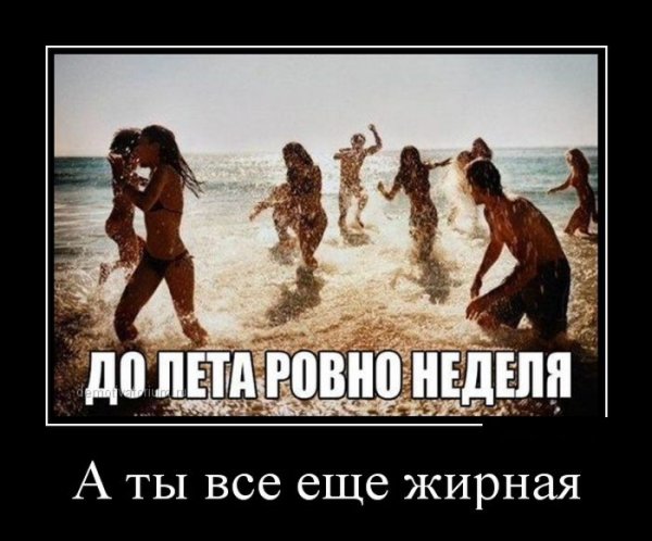 Скоро лето картинки прикольные