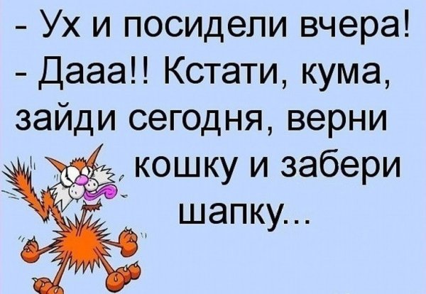 Анекдоты про кумушек