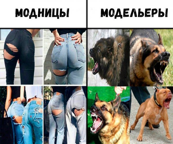 Убойно смешные картинки