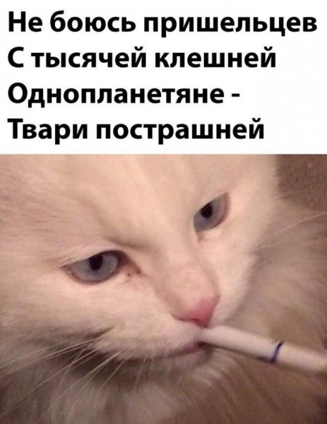 Ржака картинки