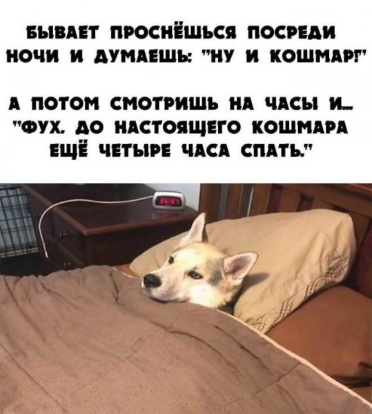 Демотиваторы смешные