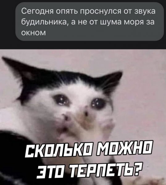 Самые ржачные приколы в картинках