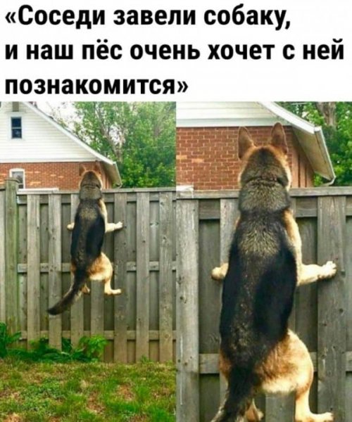 Актуальные приколы в картинках