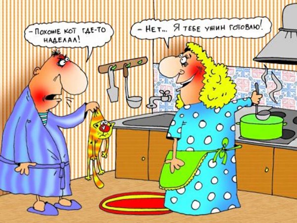 Муж и жена карикатура