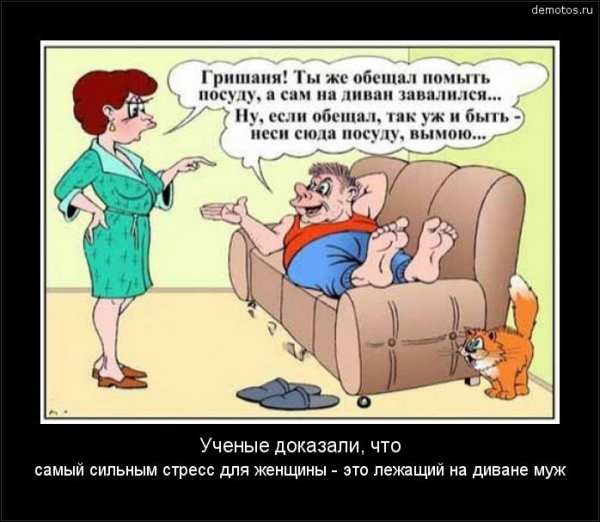 Муж на диване карикатура