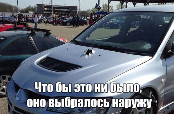 Фото приколы с текстом