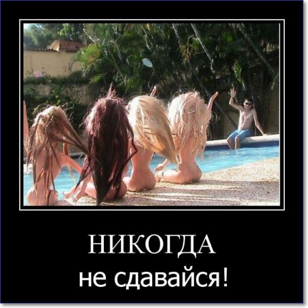 Никогда не сдавайся!