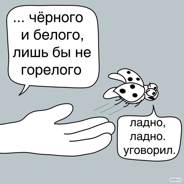 Прикольная шутка про Настю