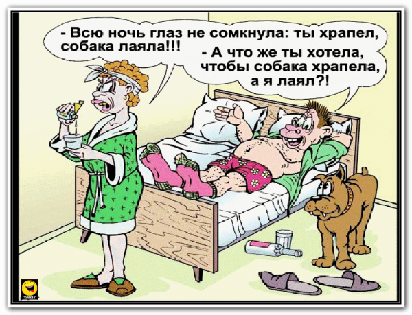 Смешные анекдоты