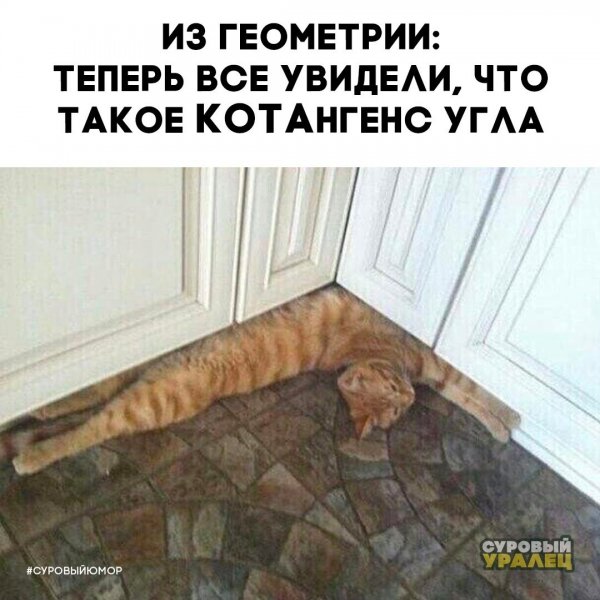 Слова со смыслом